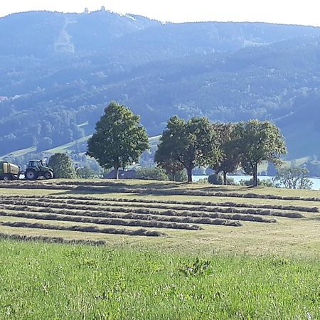 Hideaway Apartment Zell am Moos Luaran gambar