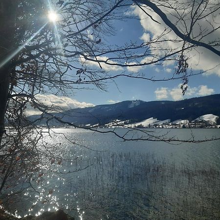 Hideaway Apartment Zell am Moos Luaran gambar