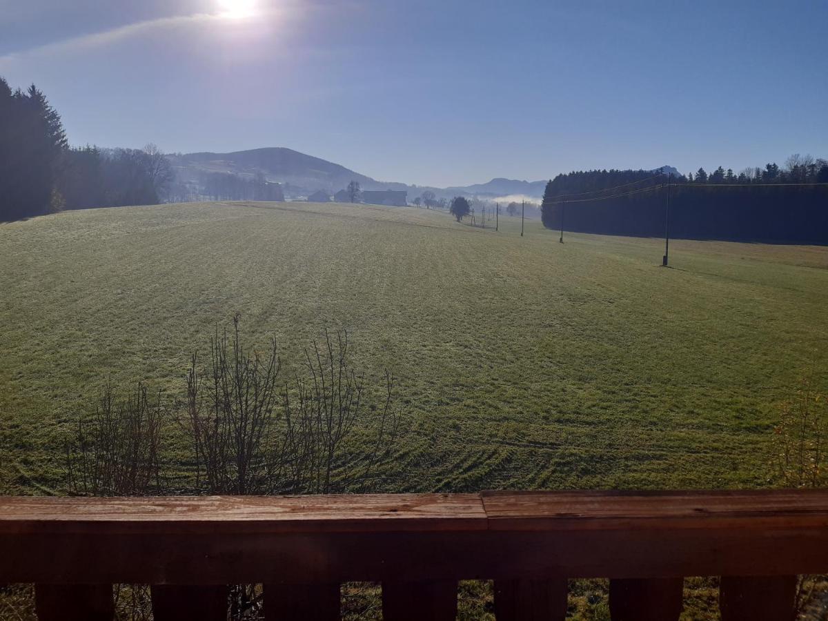 Hideaway Apartment Zell am Moos Luaran gambar