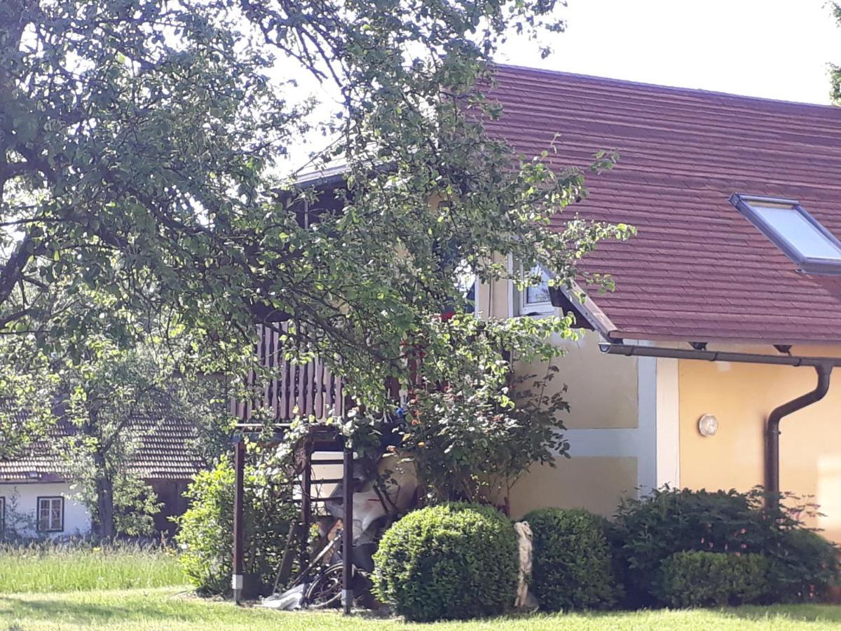 Hideaway Apartment Zell am Moos Luaran gambar