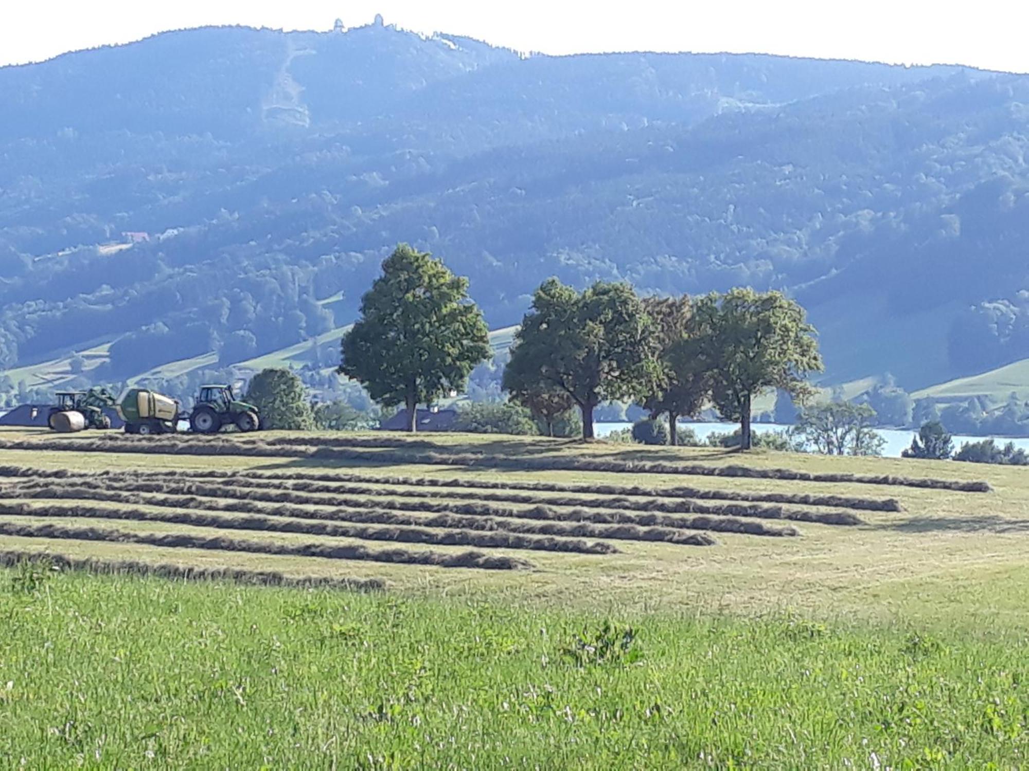 Hideaway Apartment Zell am Moos Luaran gambar
