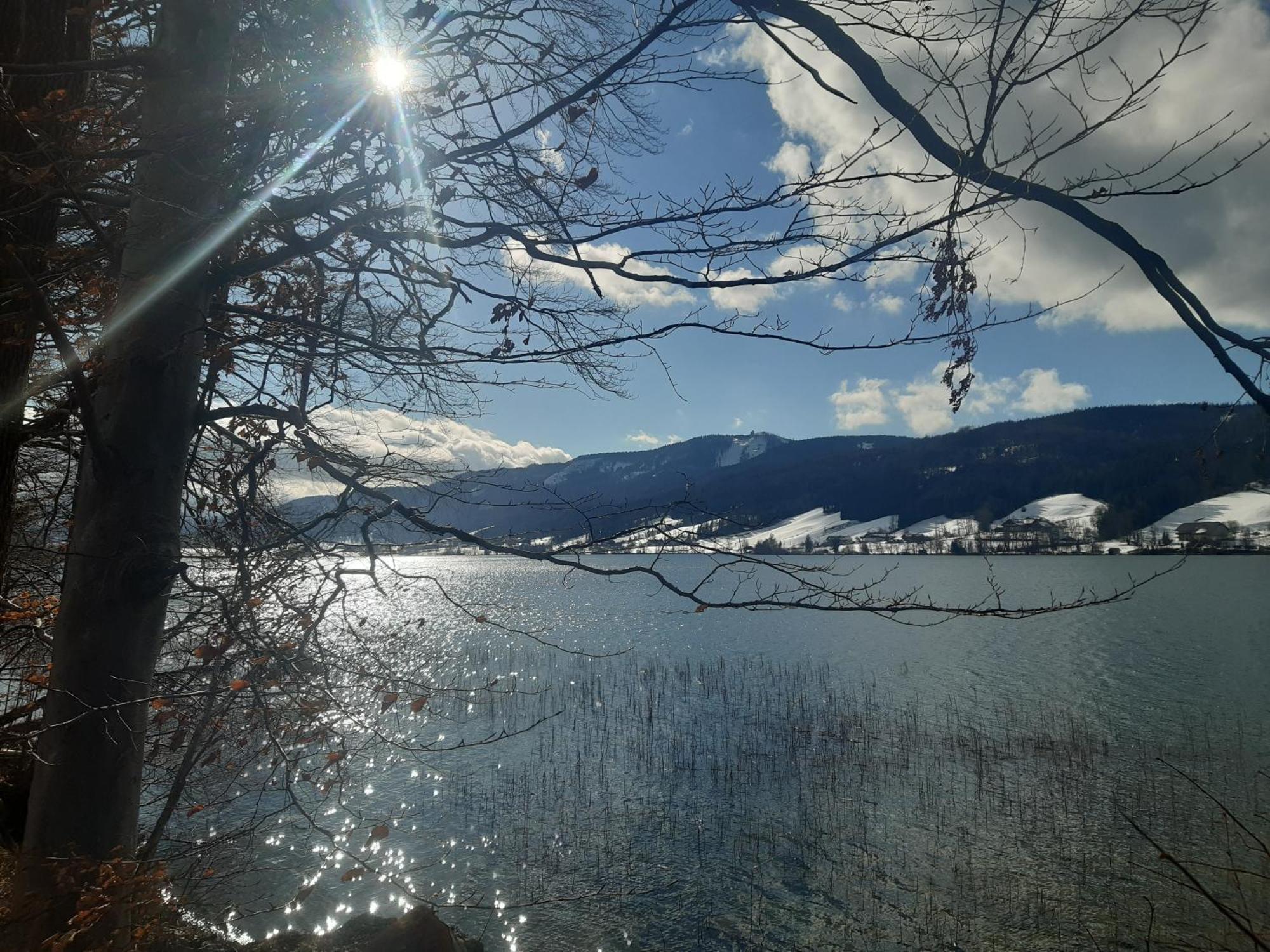Hideaway Apartment Zell am Moos Luaran gambar
